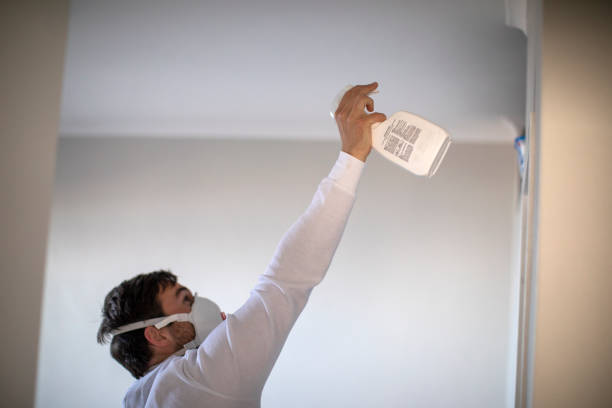 Mold Testing and Removal in Kirklin, IN
