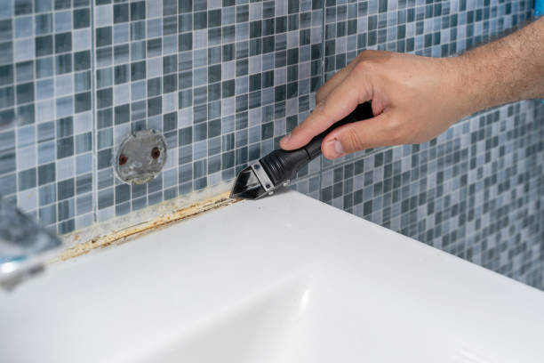 Best Emergency Mold Removal  in Kirkl, IN