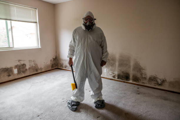 Best Toxic Mold Removal  in Kirkl, IN