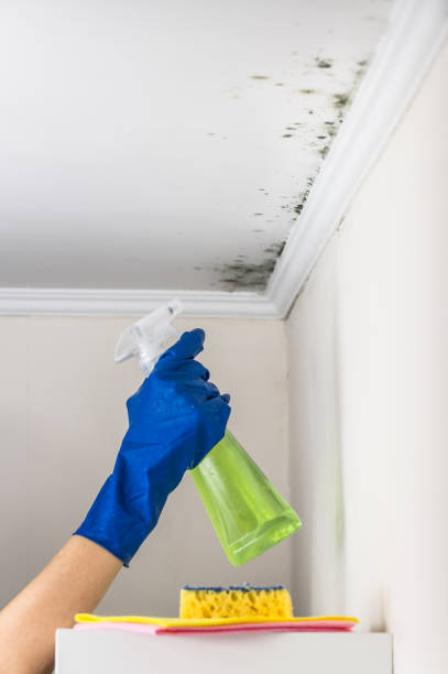 Best Crawl Space Mold Removal  in Kirkl, IN